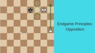 How a myth about the endgame in chess seduced Avengers, Game of