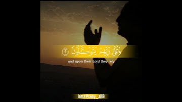 🍃سورة الأنفال🍃حالات واتس اب🍃حالات قرآن 🍃 القارئ رعد الكردي🍃