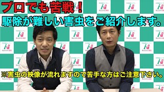 プロでも苦戦！駆除が難しい害虫をご紹介致します！ダスキン東寺尾支店・東五反田TMX 編〜