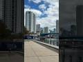 Limpieza _ Orilla Rio Miami_ Miami _Florida _USA #miami #florida #usa #eeuu #ríomiami #miamiriver