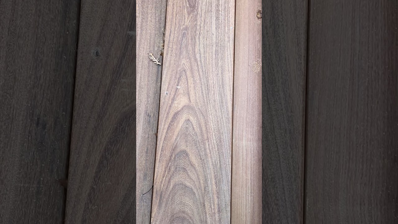 Железное дерево. IPE или ХАНДРОАНТУС 