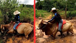 ATOLOU NO BARRO.😱🐂