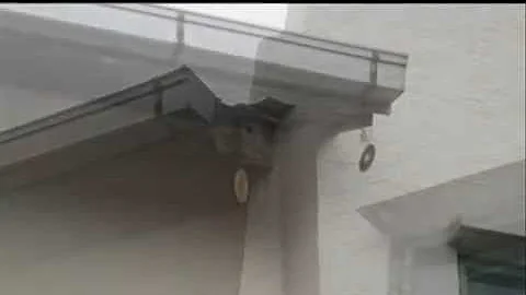 Detering the starlings