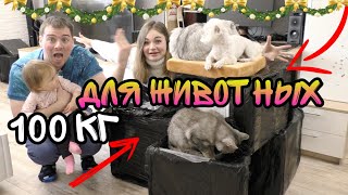 111 КГ ПОДАРКОВ ДЛЯ ЖИВОТНЫХ НА НОВЫЙ ГОД! Что подарить коту и собаке?