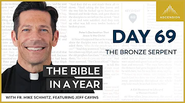 Day 69: The Bronze Serpent — The Bible in a Year (with Fr. Mike Schmitz)