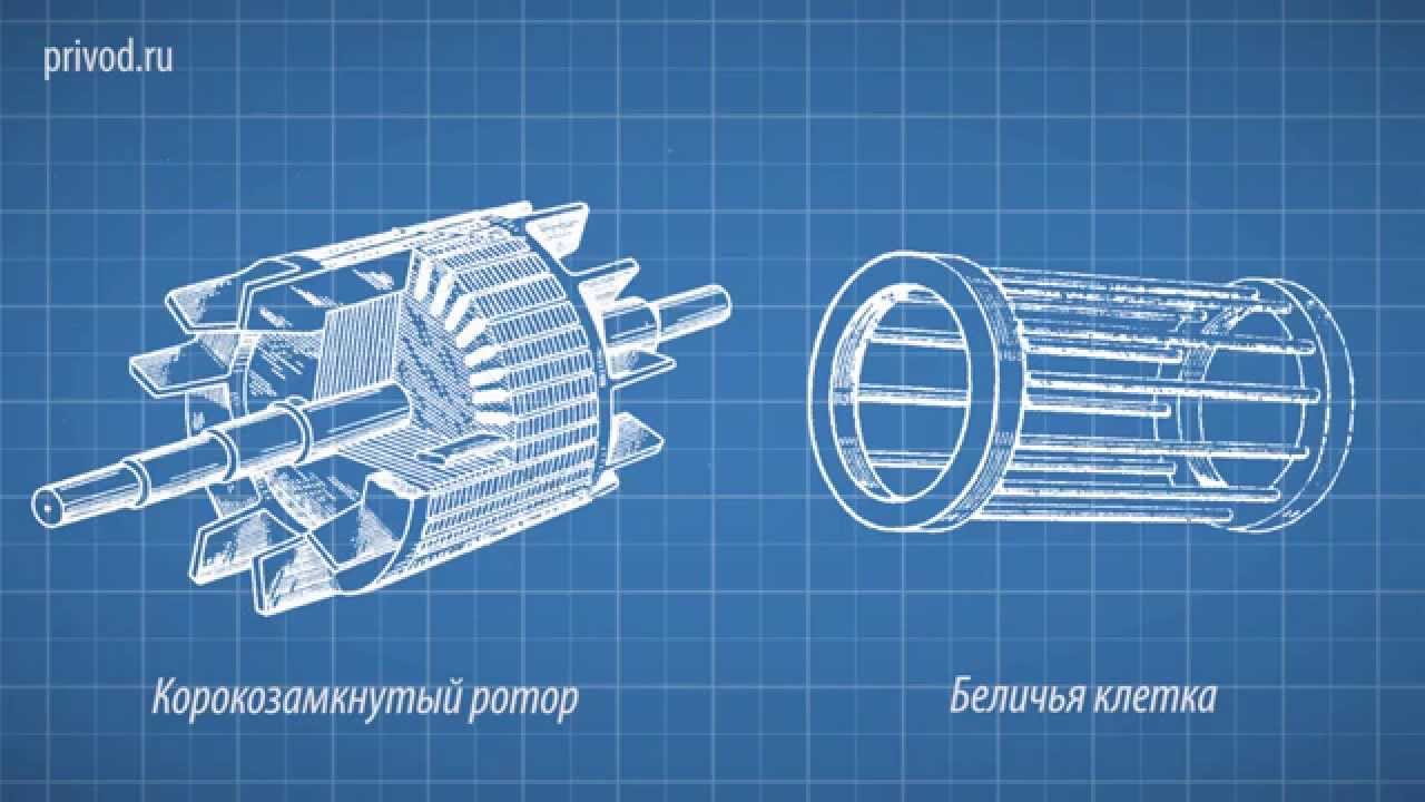 Работа электродвигателя видео скачать