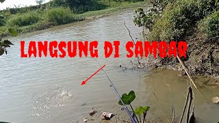 Baru z ngomong 😮😮 jantung bikin copot dan gemetaran !!! . kacapirit channel