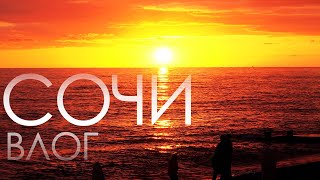 :   .       | 2024