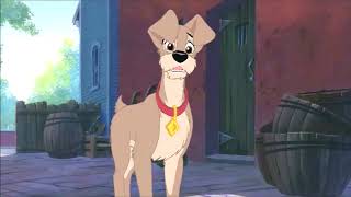 The Little Mer-Dog part 13 - In Tramp's Kingdom