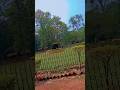 #ormanjhi Park Jharkhand Ranchi #artificial elephant and lots of wild animals