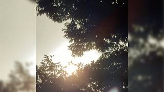 MK - Solace [Synthwave × Future Bass]