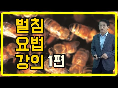 벌침 요법(강의) 1편