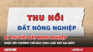 Bị thu hồi đất nông nghiệp được bồi thường thế nào theo Luật Đất đai mới? | Báo Lao Động