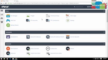 How to Set Address Importer In Cpanel