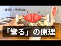 【攣る（つる）原理】足が"つる"のはどうして？メカニズムと対処法