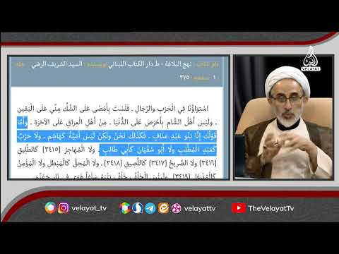 بنی هاشم و بنی امیه چه کسانی هستند