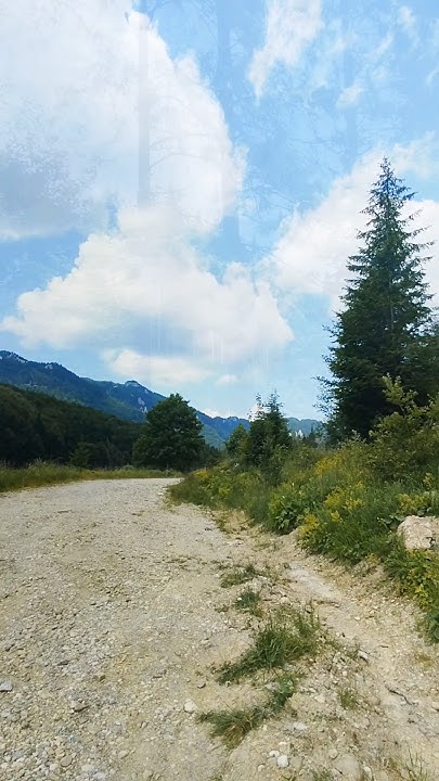 Румыния. Природа. Красота лета. #romania #nature #road #tree #2024 ...