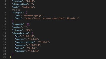Analyze a basic package.json file in Node.js