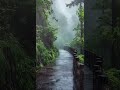Relax rain 🌧️ and heavy thunder sounds for deep sleep 💤 #sleepbetter #rain #rainoundforsleep #asmr