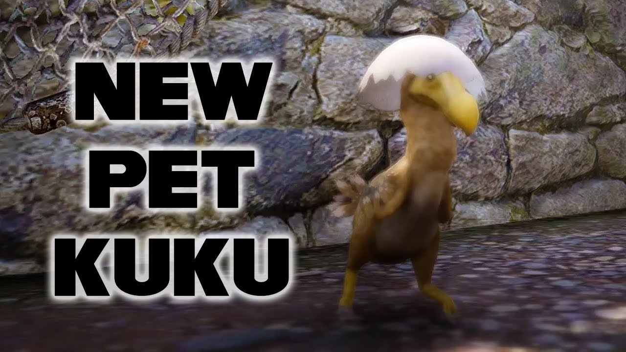 Daily Attendance Rewards are Good New Pet Kuku BDO Black Desert