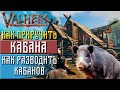 Valheim Как приручить кабана ► Разведение кабанов(valheim гайд)