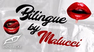 Malucci - Bilingüe 👄(Lyric Video)