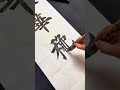 春华秋实#毛笔字 #书法 #calligraphy