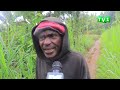 MUHANGA : UMUGABO YAGWIRIWE N'IKIROMBE ARAPFA