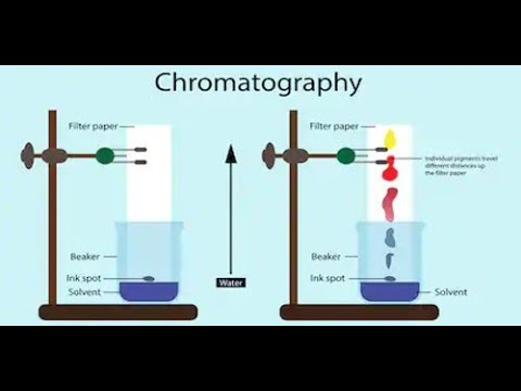 Chemistry 1st year chapter no 2 (Chromatography and its types) Lecture ...