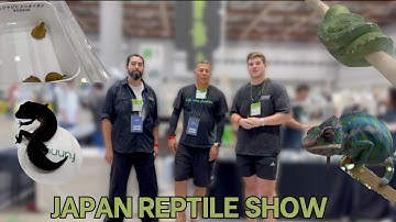 Exploring the Japanese Reptile Show 2025!!!