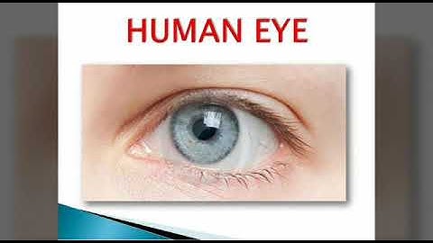 Class III CBSE || Science || Lesson 7 ::: SAYING WITHOUT SPEAKING || Mrs. Sheela Bosco