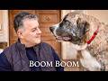 Boom Boom 