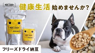 【ドットわん 】フリーズドライ納豆　毎日のおやつでおなかスッキリ！　愛犬の健康　ワンコ用おやつ　通販