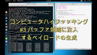 【コンピュータハイジャッキング】#3 第6.1.5節 バッファ領域に注入するバイト列であるペイロードの生成