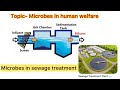 Microbes in human welfare ll Microbes in sewage treatment ll12th Biology NEET ll