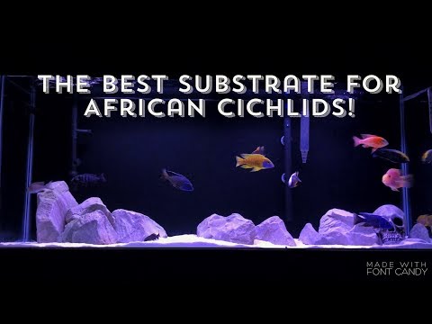 THE BEST SUBSTRATE FOR AFRICAN CICHLIDS! | AQUARIUM SAND/GRAVEL