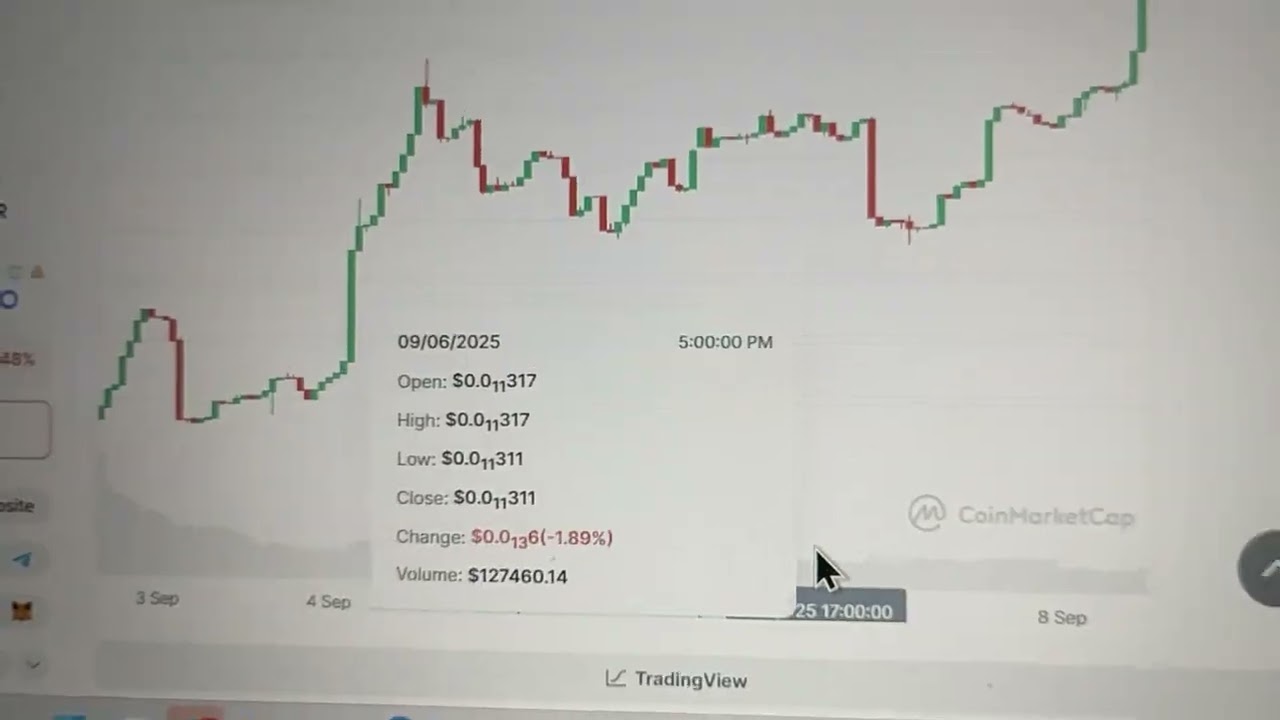 This Memecoin Can Make You a Lot of Profits but Be Careful | Obicrypto