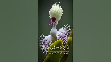#ايات_قرانيه_قصيره #تجويد_القرآن_رائع #قران_كريم