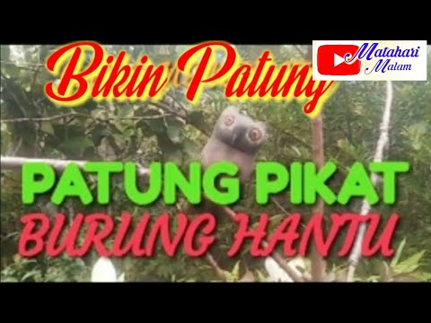 Video: Cara Membuat Burung Hantu Daripada Terasa