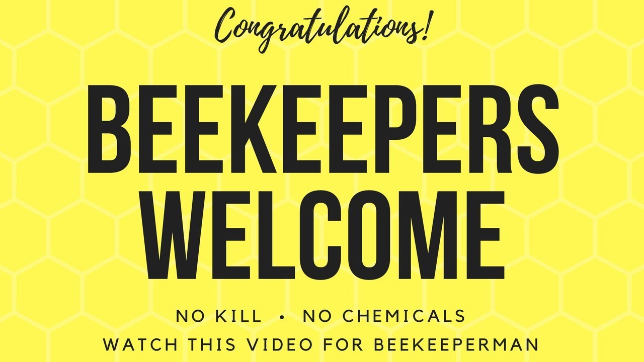 Becoming a beekeeper - YouTube