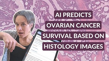 Can AI Predict Ovarian Cancer Survival Solely from Histology?