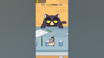 HIDE AND SEEK: CAT ESCAPE LEVEL 271