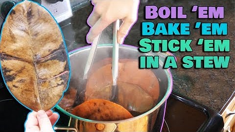 How to Disinfect Leaves for Reptile Habitats!