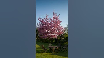 ‏ياسر الدوسري | سورة الزخرف | الآية ￼￼68-70