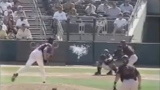 Randy Johnson Hits Bird screenshot 2