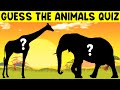 Kids Quiz : Guess the Animal from their Shadow | Brain Games | Learn about Animals Quiz for Kids