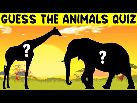 Video: Uji IQ Haiwan Anda Dengan Kuiz Fun kami
