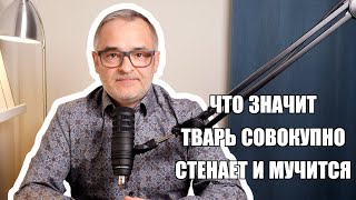 видео: Что значит:  картинка: Что значит: