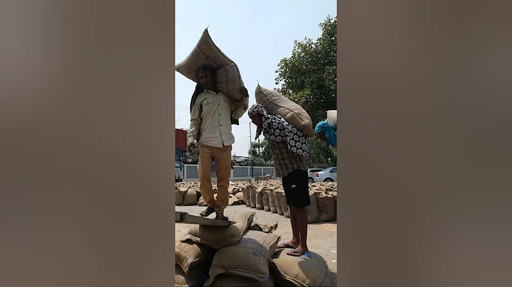 How Extreme Heat Is Pushing the Limits of Human Survival