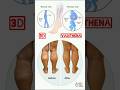Varithena #shorts